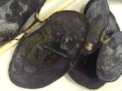 -海大大蒸汽海鲜餐厅·粤菜·特色小炒(欢乐颂店)