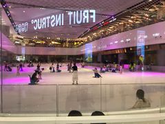 -TheRink大零溜冰场(IFS国金中心店)