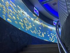 -合肥海洋世界