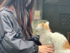 -海窝子古镇