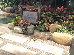 -厦门日月谷温泉渡假村