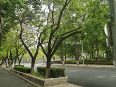 -东华门大街小区