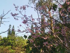 -桃花涧