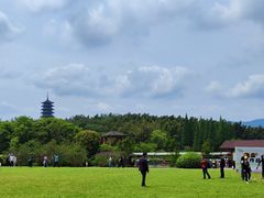 -宜兴龙背山森林公园