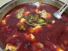 冷锅鱼-重庆特色冷锅鱼(武大店)