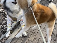 -中粮·祥云小镇