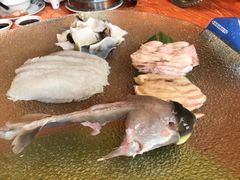 -孔庆璞河豚馆(白玉兰酒店)