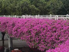 -公园前(地铁站)