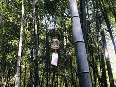 -苏州环秀晓筑养生度假村
