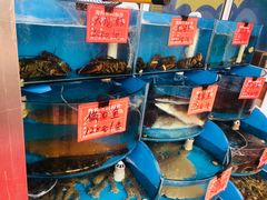 -北戴河庆山饭店·海鲜砂锅粥(北戴河黑石路店)