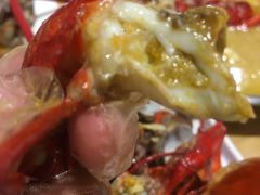 -杨氏青龙虾·羊蝎子(金盛路总店)