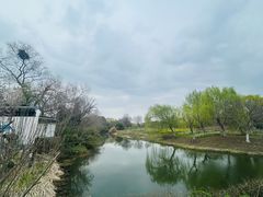-梁鸿国家湿地公园