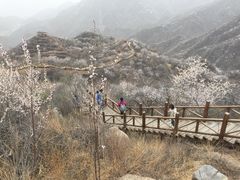 -大岭沟猕猴桃谷风景区