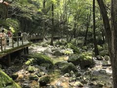 -牛背梁国家森林公园