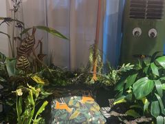 -Thai Basil罗勒叶泰式餐厅(时代天街店)