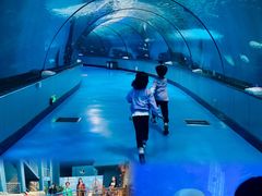 -泉城欧乐堡海洋极地世界