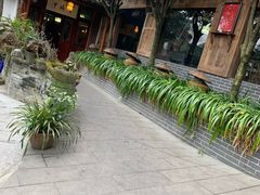 -青城甲(青城山店)