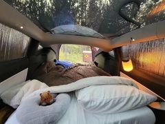 -TESLA 特斯拉(上海太古汇体验店)