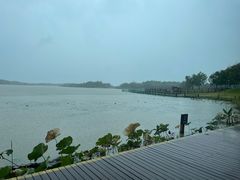 -东滩湿地公园观海楼餐厅