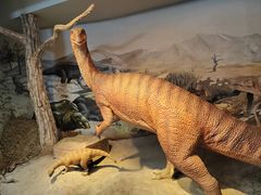 -陕西自然博物馆