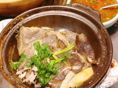 -金龙·打边炉(武进路店)