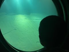 -白鹤梁水下博物馆