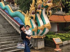 -西双版纳勐泐文化旅游区