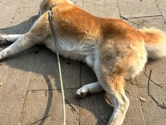 -中粮·祥云小镇