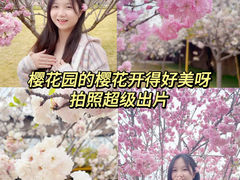 -盈香心动乐园