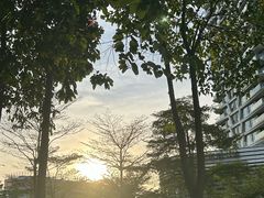 -广州市白云区图书馆