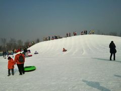 -武清南湖绿博园