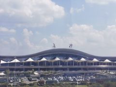 -黑色经典臭豆腐·湖南特产(步行街店)