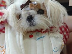 -沪依小酒馆心意菜