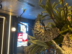 -唐宫足道·SPA·住宿24H会所(木渎店)