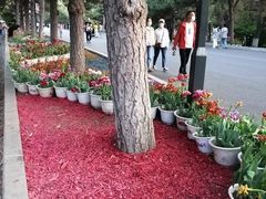 -北陵公园