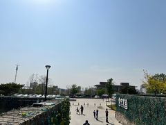 -莫子山公园