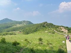 -白草畔自然风景区