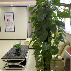 -东莞西妃整形美容医院