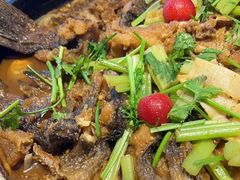 -老板恋上鱼(恒隆广场店)