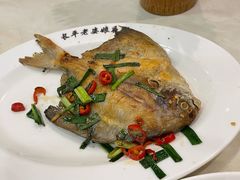 白鲳鱼-长平老姿娘夜粥(平东一街店)