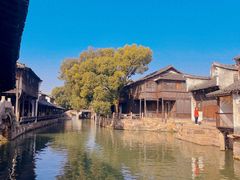 -乌镇西栅景区