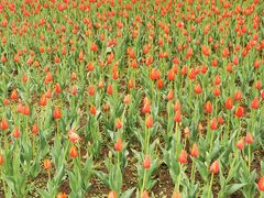 -长春公园(普阳街道)