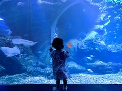 -多彩贵州城极地海洋世界