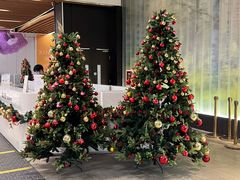 -瑞虹新天地月亮湾