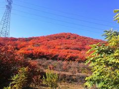 -妙峰山风景名胜区
