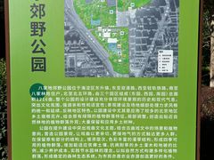 -东升八家郊野公园