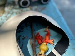 -杭州城北体育公园