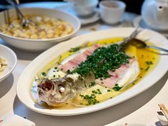 葱油蒸白水鱼-玫瑰厅上海菜(兴国路店)