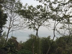 iphone_upload_pic-天目湖涵田度假村