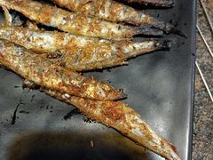 -锦州烧烤(北太平庄店)